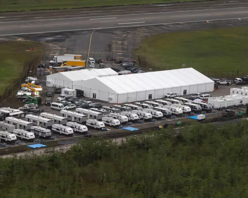 Trump’s Bizarre Plan: Alligators to Guard Alcatraz in Florida Immigration Crackdown