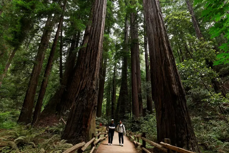 Trump's Name Appears on US National Park Signs: A Controversial Move Sparks Debate