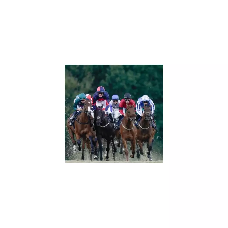 Tuesday's Top Horse Racing Picks: Expert Selections for Today's Races