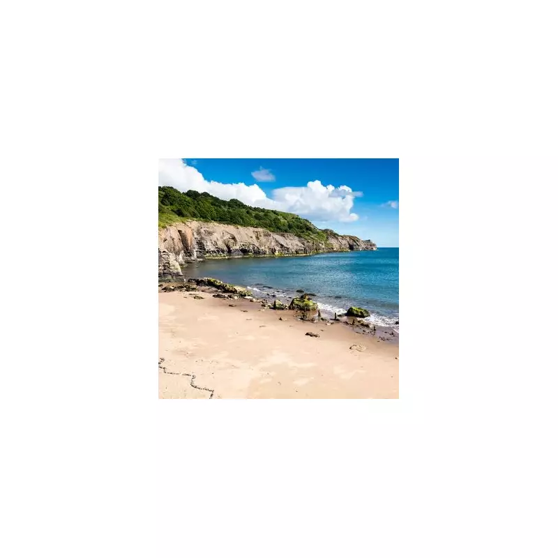 UK Beachgoer Stunned as Giant Rock Crashes Down Near Sunbathers in Dramatic Cliff Fall