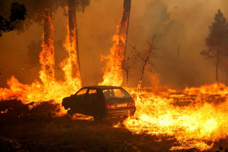 UK Braces for Scorching Heatwave as Wildfires Ravage Europe