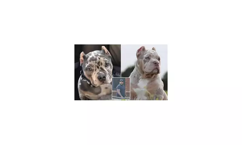 UK Dog Mutilation Ring Jailed: Puppy Ear Cropping Syndicate Exposed