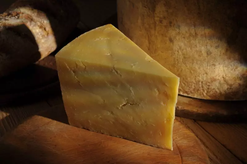 UK Government Faces Backlash Over Controversial Food Deal with Egypt