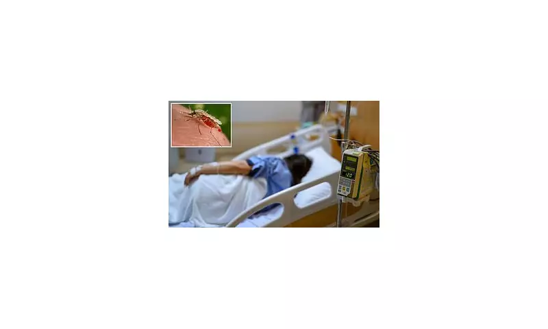 UK Health Alert: First Locally Transmitted Mosquito-Borne Disease in 30 Years Detected in Essex