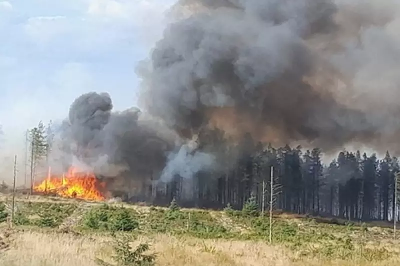 UK Holidaymakers Face Disruption as European Heatwave Fuels Widespread Wildfires