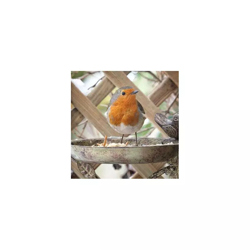 UK Households Urged to Check Bird Feeders for Hidden Danger That Could Harm Wildlife