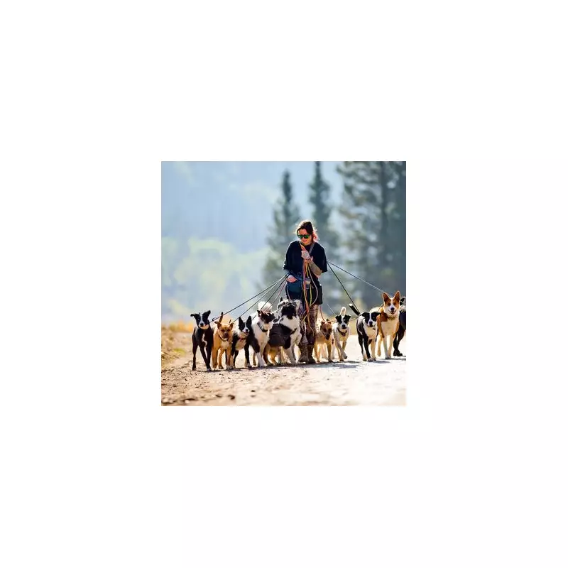 UK Vet Issues Urgent Warning: This Common Kitchen Ingredient Is Toxic For Your Pets