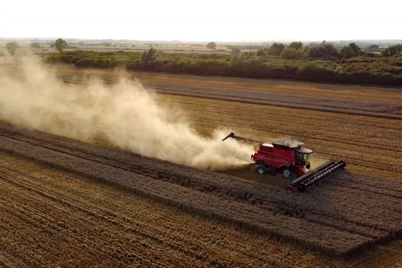 UK Weather Alert: Met Office Confirms Hottest June Since Records Began