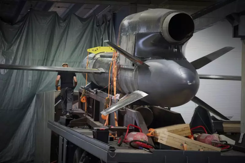 Ukraine's Ingenious Flamingo Decoy Lures & Destroys Russian Cruise Missile in Daring Defence