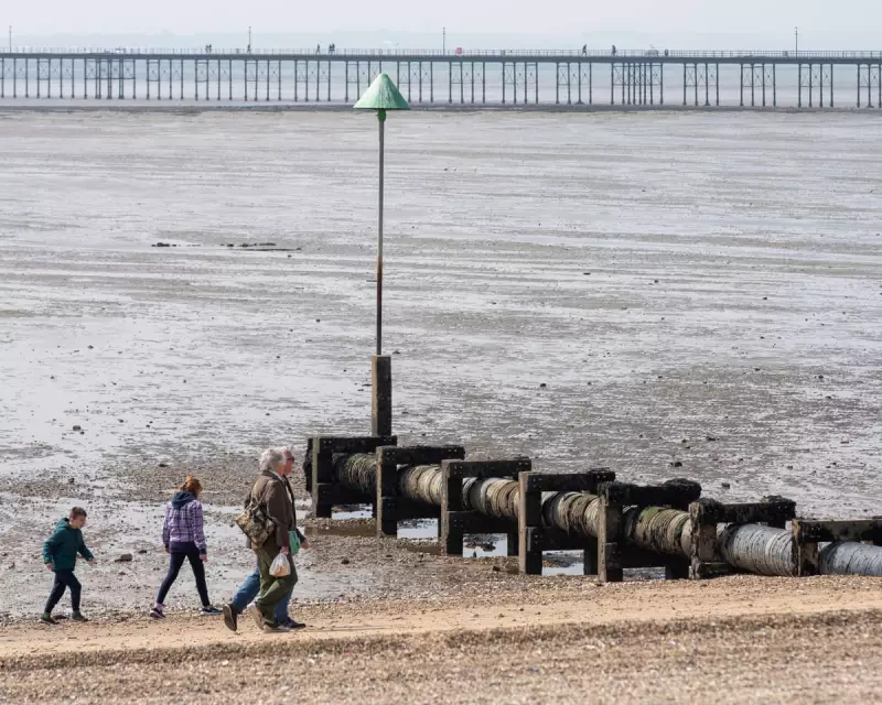 UK's Green Gap: How Brexit Environmental Rules Fall Behind EU Standards