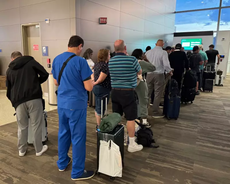 United Airlines Grounds Flights Nationwide Due to Major Tech Glitch