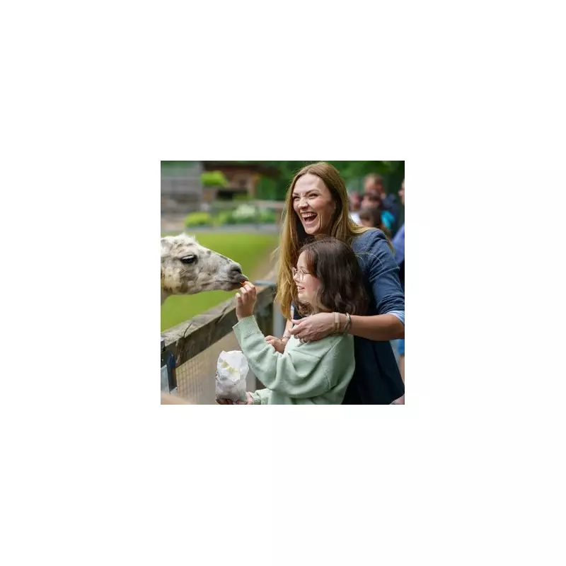 Universal Credit Discounts: How to Claim Your £1 Cinema Tickets & 66% Off Bills