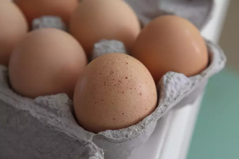 Urgent UK Egg Recall: Major Salmonella Scare Hits British Supermarkets