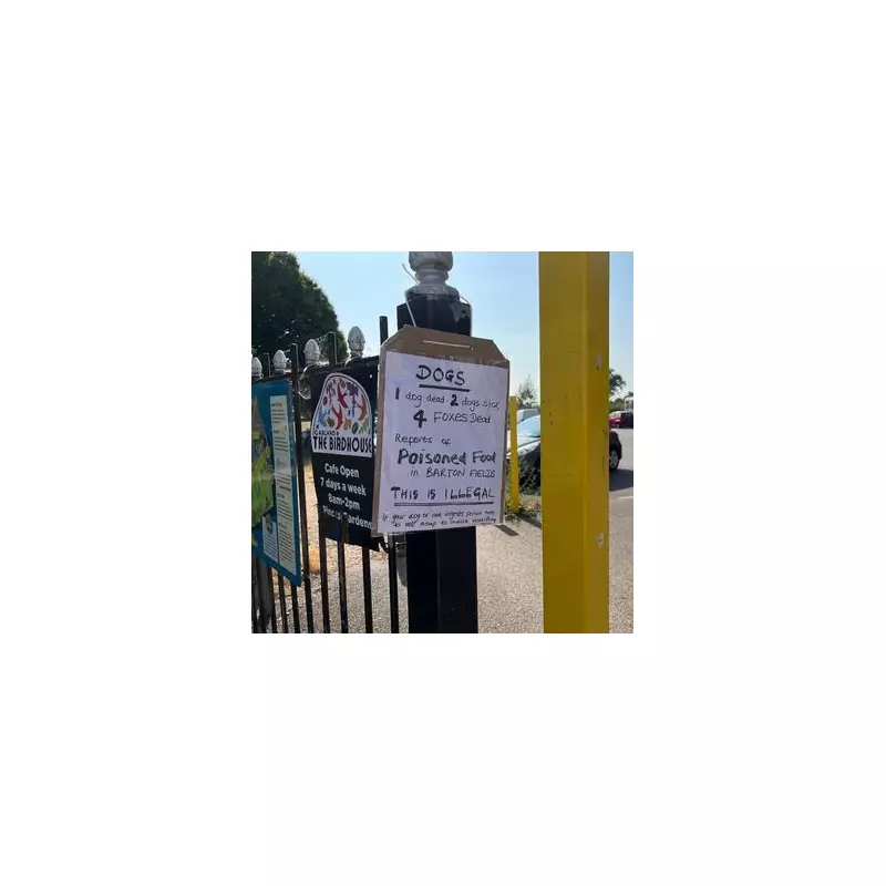 Urgent Warning for Dog Owners: Deadly Disease Spreading Among Foxes in the UK