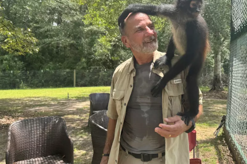 US Air Force Veteran with PTSD Opens Fire at Mississippi Military Base: Two Dead