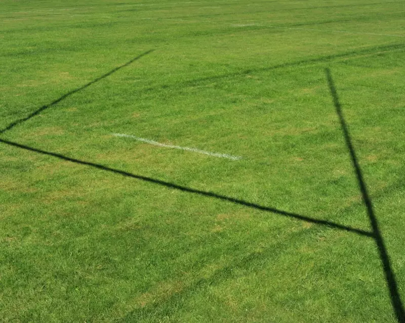 US Rugby Crisis Deepens as Second MLR Team Collapses in a Week