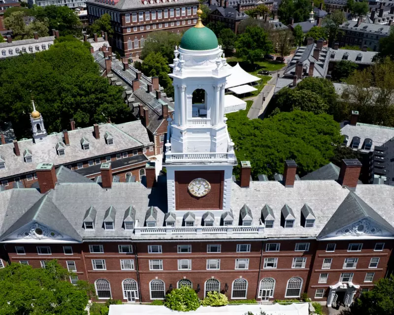 US Universities See Sharp Decline in International Students for Fall Semester – What’s Behind the Drop?