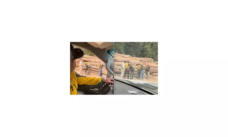 Washington State Fire Crews in Crisis: US Border Patrol Arrests Elite Wildfire Fighters