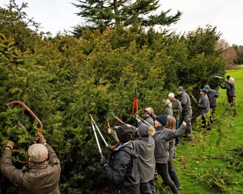 Wealth Tax Alternatives: Boomers Can Contribute Time and Skills Instead