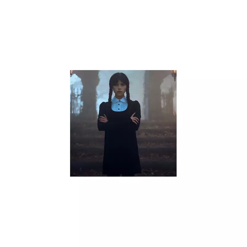 Wednesday Season 2: The True Story Behind the Stalkers and What Fans Can Expect