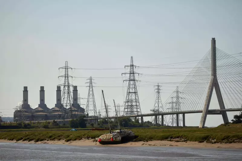 Welsh Labour MP Jo Stevens Calls for Stronger UK-Wales Collaboration Amid Brexit Fallout