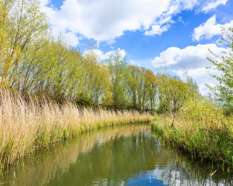 Why Wildlife Deserves the Right to Roam Along Our Riverbanks