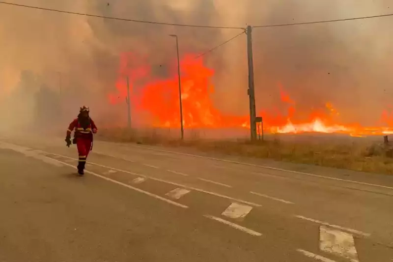 Wildfires Ravage Southern Europe: Travel Warnings Issued for Spain, Portugal, and Greece