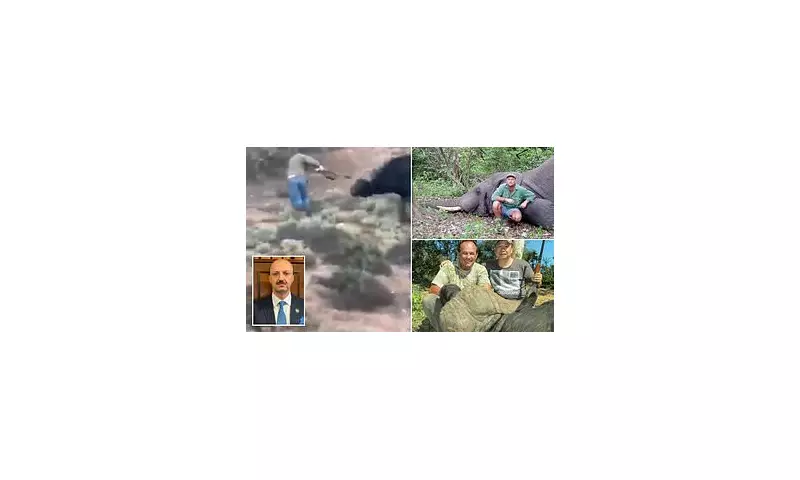 Wildlife Fightback: Hunters Become the Hunted as Animals Turn the Tables in Shocking Encounters