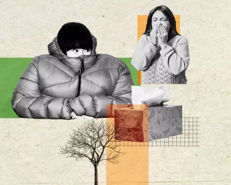 Winter Health Myths Debunked: Does Going Out Underdressed Really Make You Sick?