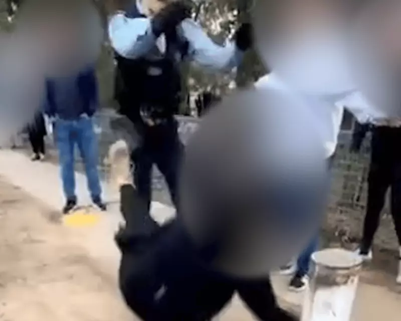 Woman Alleges Fractured Rib After NSW Police 'Excessive Force' During Arrest