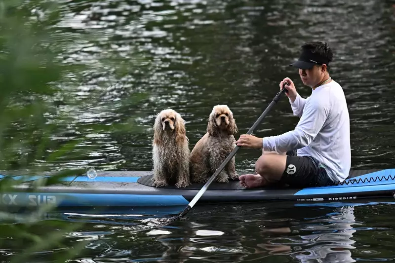 Wuhan's Disturbing New Trend: 'Pet Rental' Services Offer Dogs for Temporary Companionship