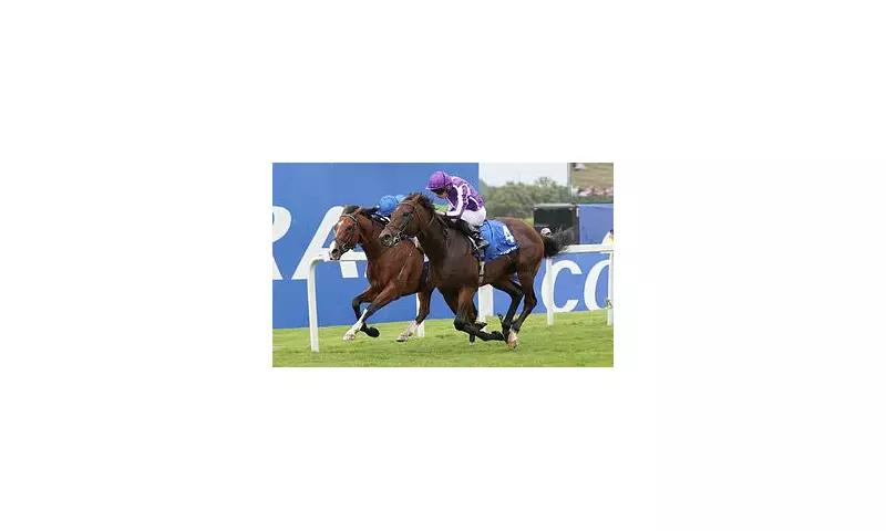 York International Shines While Oaks Fails to Impress: A Reflection on British Racing's Current State