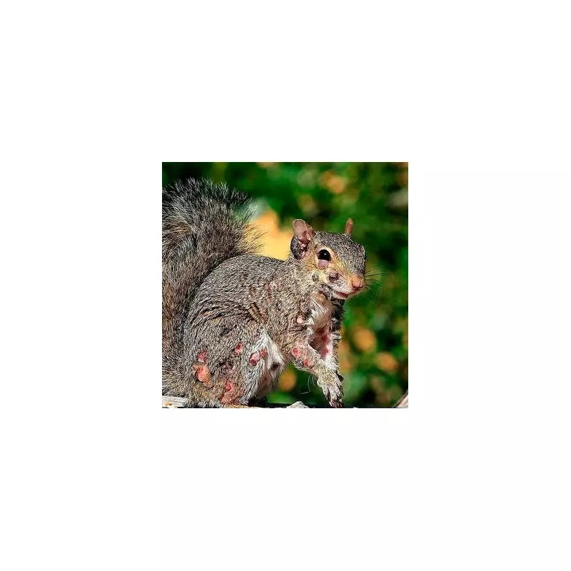 Zombie Squirrels Spreading Horror: Flesh-Eating Disease Hits UK Wildlife