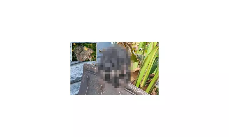 Zombie Squirrels with Tentacle Faces Spotted in the US: Bizarre Wildlife Phenomenon Explained