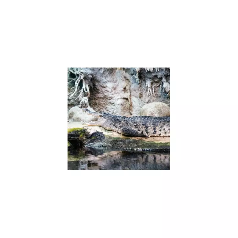 Zoo Appeals for Public to Donate Dead Pets to Feed Carnivores Amid Food Shortages