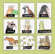 10 Genius Garden Hacks to Keep Pests at Bay Naturally