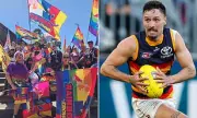 Adelaide Crows in Turmoil as Izak Rankine Faces Backlash Over Homophobic Slur | Rainbow Crows Fury