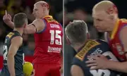 AFL Star Daniel Gorringe's Shocking On-Field Hit on Comedian Dave Hughes Sparks Legal Row | Daily Mail