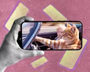 AI-Generated Cat Videos: The Bizarre, Addictive, and Disturbing New Trend Taking Over the Internet