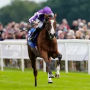 Aidan O'Brien's Minnie Hauk Ruled Out of Betfred Oaks in Epsom Blow | Racing News