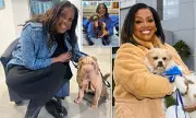 Alison Hammond Axed from For the Love of Dogs | ITV Makes Shock Decision