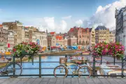 Amsterdam’s Purr-fect Plan: Floating Steps for Cats Along Canals