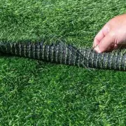 Artificial Grass Warning: Brits Urged to Rethink Garden Trends Amid Environmental Concerns