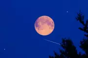 August's Stunning Sturgeon Moon and Perseid Meteor Shower: A Celestial Spectacle Not to Miss