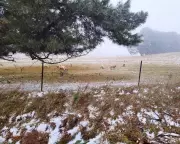 Australia Braces for Historic Winter Blast: Polar Fronts to Blanket South-East in Snow