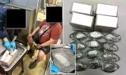 Australian Man's Audacious Meth Smuggling Plot Foiled in Thailand | Household Item Stash