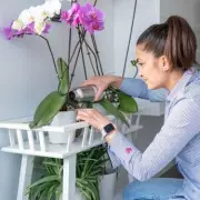 Avoid This Common Watering Mistake That's Killing Your Garden Plants