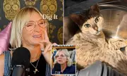 BBC Radio Star Jo Whiley's Heartbreak as Beloved Family Cat Dies in Tragic Accident | Emotional Tribute