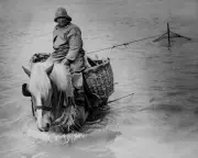 Benjamin Wood's 'Seascraper': A Masterful Tale of Art, Memory & Redemption | Book Review