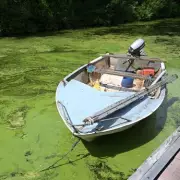 Benone Beach Warning: Public Urged to Avoid Northern Ireland Waters After Sewage Alert
